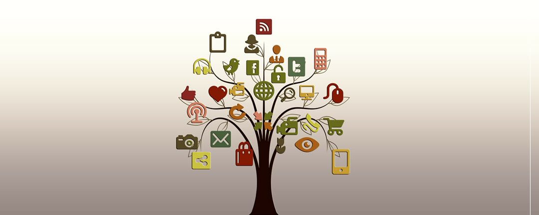 Networking to find jobs or potential opportunities