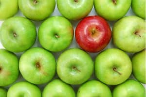 EBC TEFL vs other TEFL courses